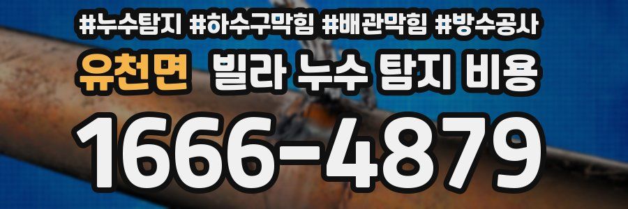 유천면 빌라 누수 탐지 비용