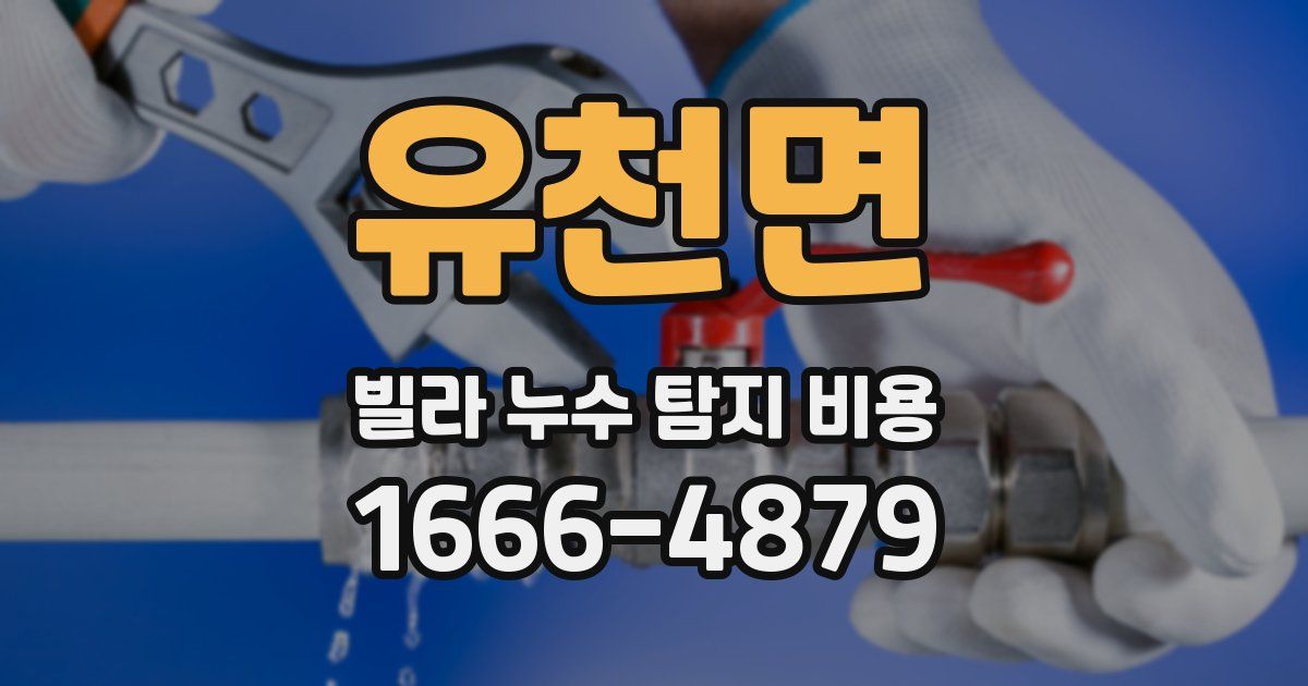 유천면 빌라 누수 탐지 비용