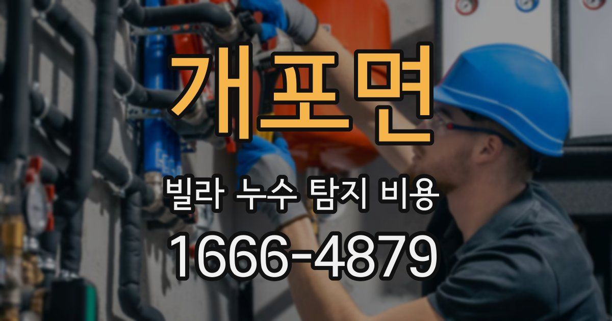 개포면 빌라 누수 탐지 비용