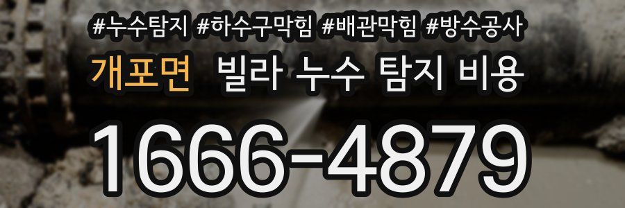 개포면 빌라 누수 탐지 비용