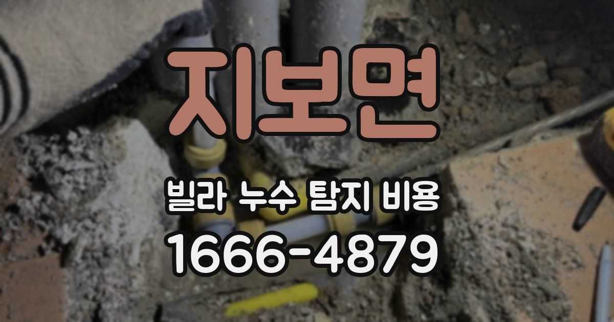 지보면 빌라 누수 탐지 비용