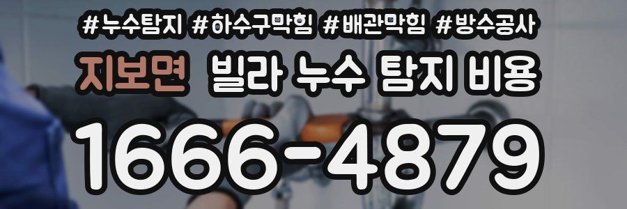 지보면 빌라 누수 탐지 비용