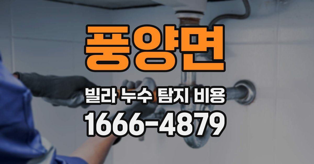 풍양면 빌라 누수 탐지 비용