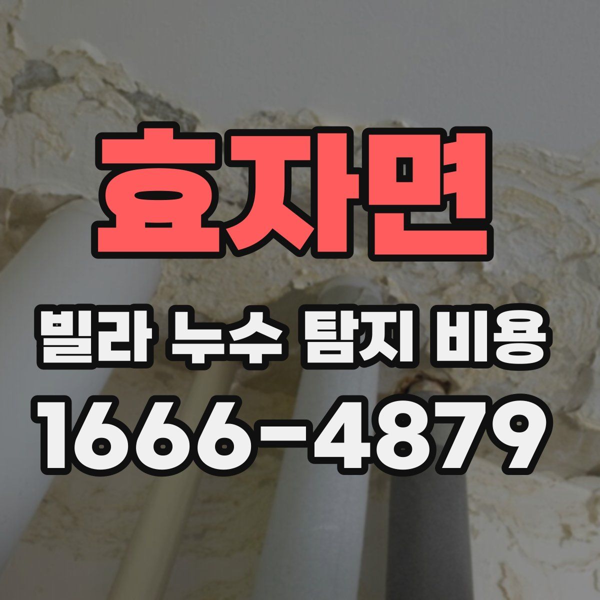 효자면 빌라 누수 탐지 비용