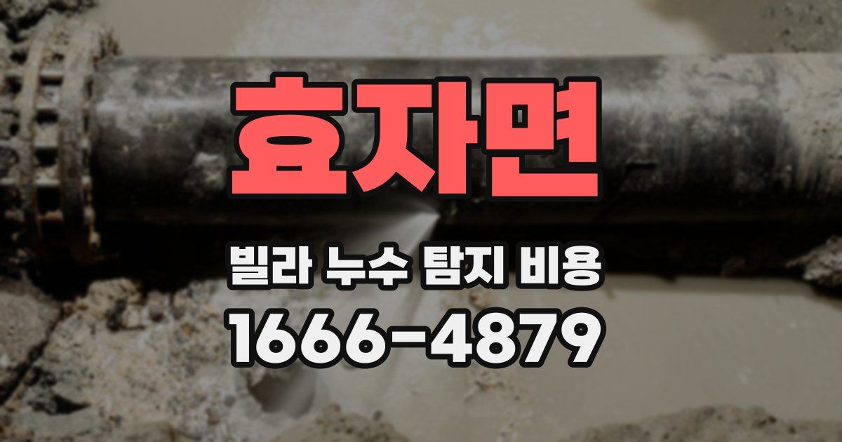 효자면 빌라 누수 탐지 비용