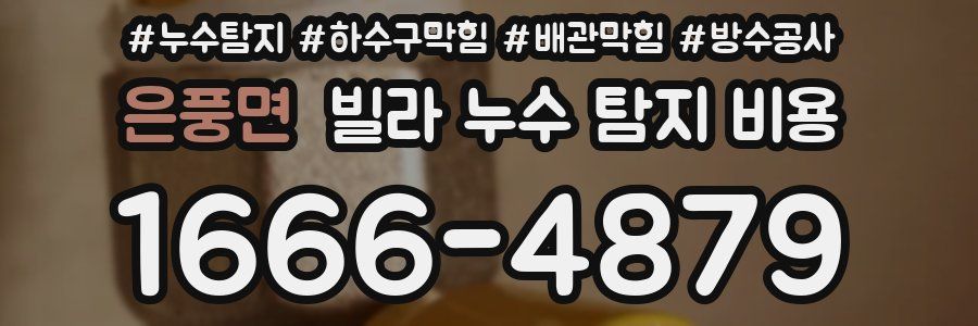 은풍면 빌라 누수 탐지 비용