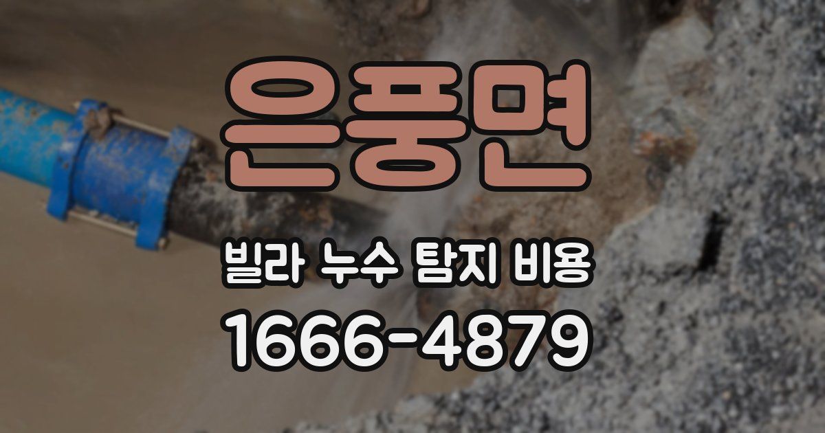 은풍면 빌라 누수 탐지 비용