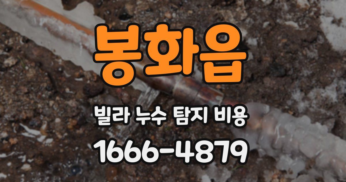 봉화읍 빌라 누수 탐지 비용