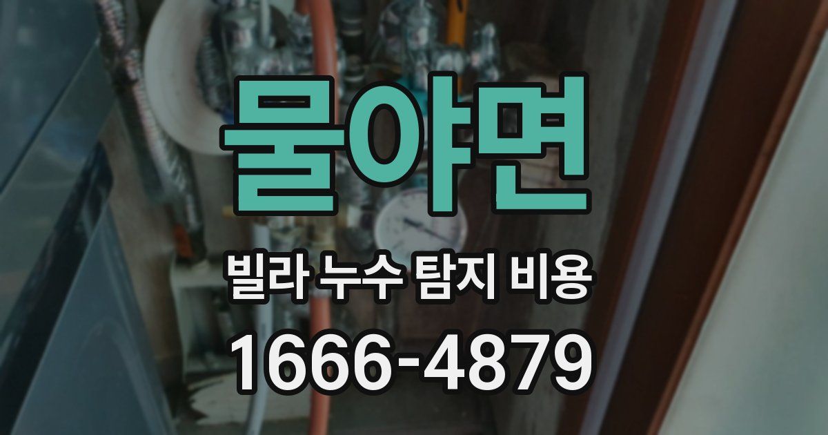 물야면 빌라 누수 탐지 비용