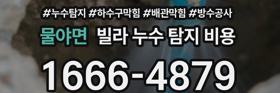 물야면 빌라 누수 탐지 비용