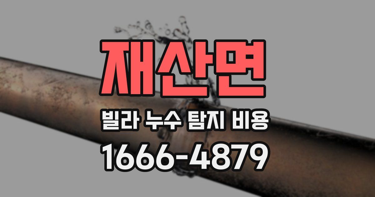 재산면 빌라 누수 탐지 비용