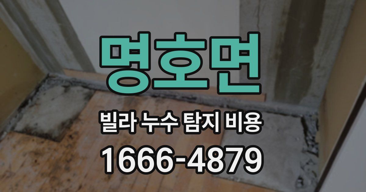 명호면 빌라 누수 탐지 비용