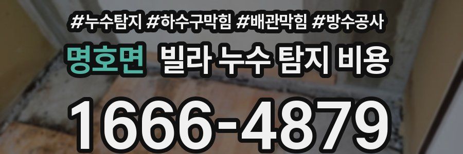명호면 빌라 누수 탐지 비용