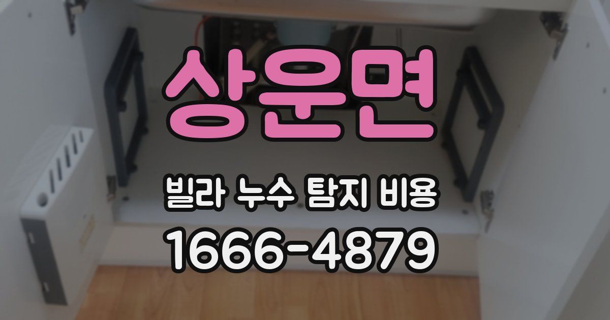 상운면 빌라 누수 탐지 비용