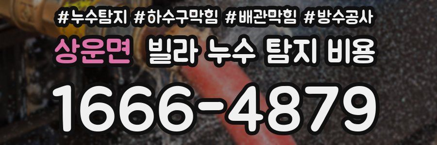 상운면 빌라 누수 탐지 비용