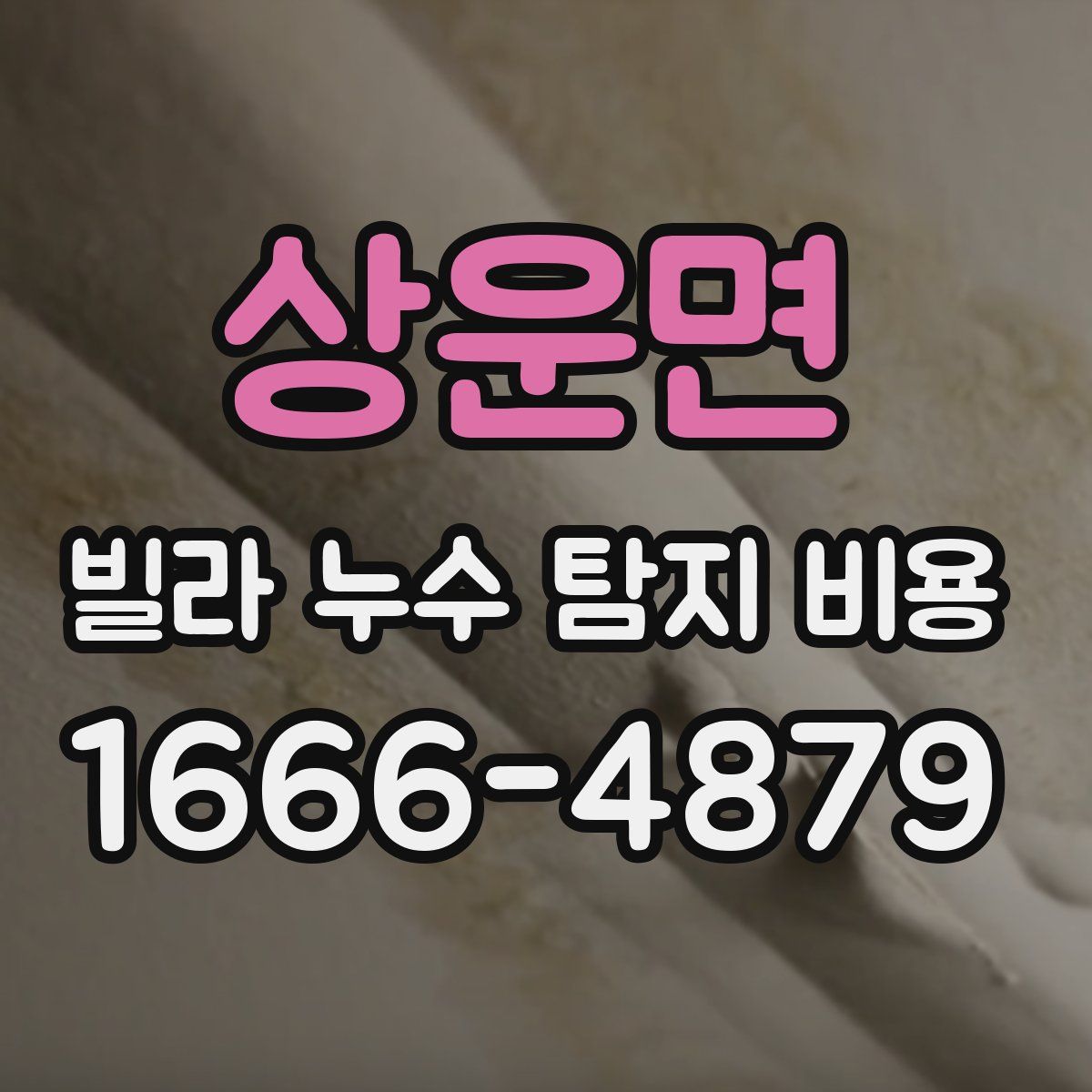 상운면 빌라 누수 탐지 비용