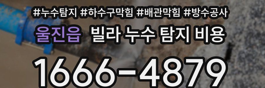울진읍 빌라 누수 탐지 비용