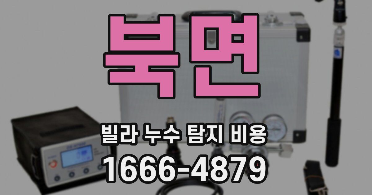 북면 빌라 누수 탐지 비용