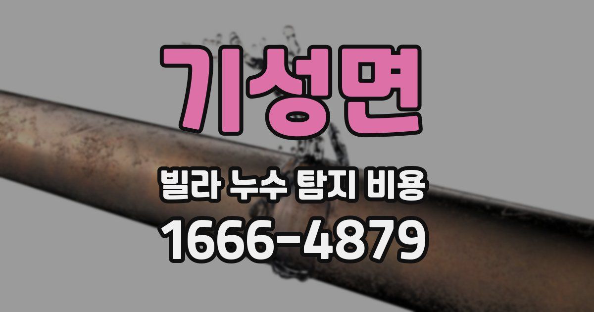 기성면 빌라 누수 탐지 비용