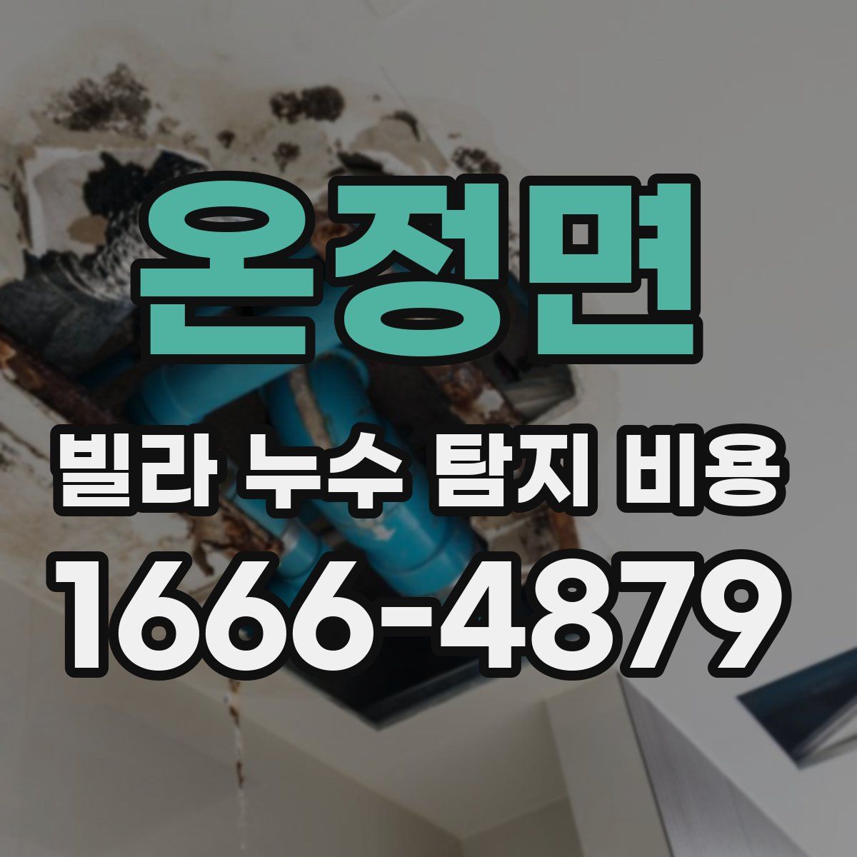 온정면 빌라 누수 탐지 비용
