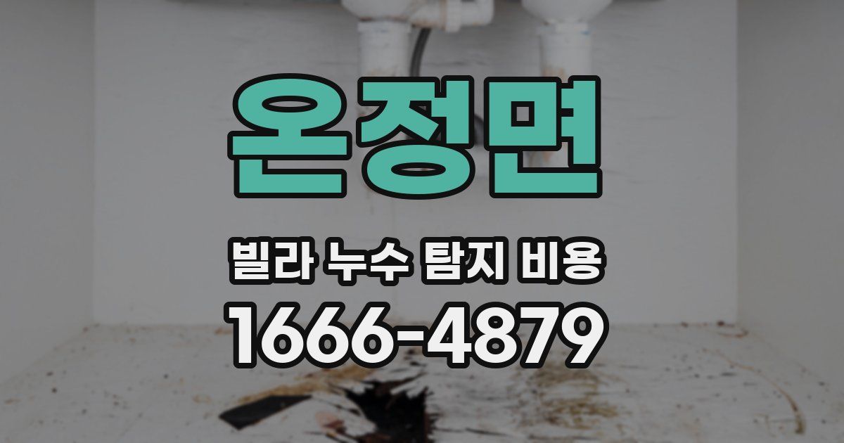 온정면 빌라 누수 탐지 비용