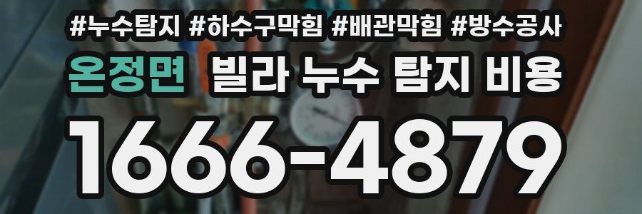 온정면 빌라 누수 탐지 비용