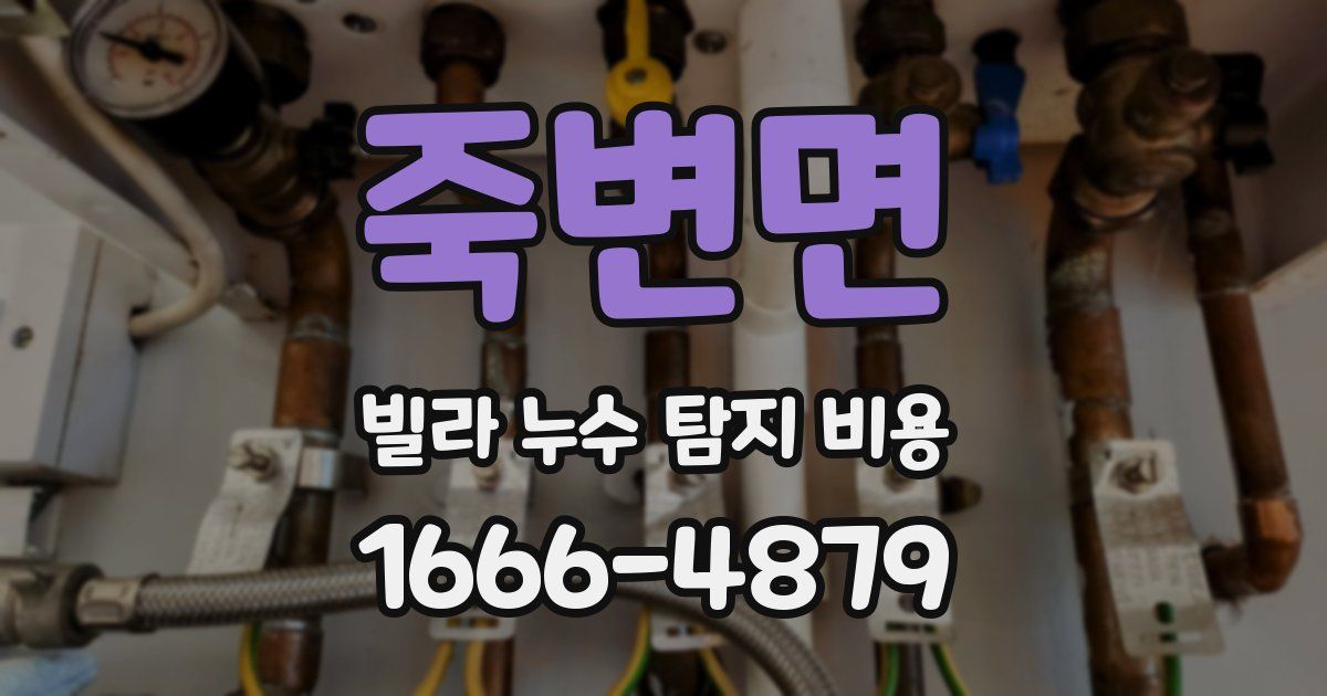 죽변면 빌라 누수 탐지 비용