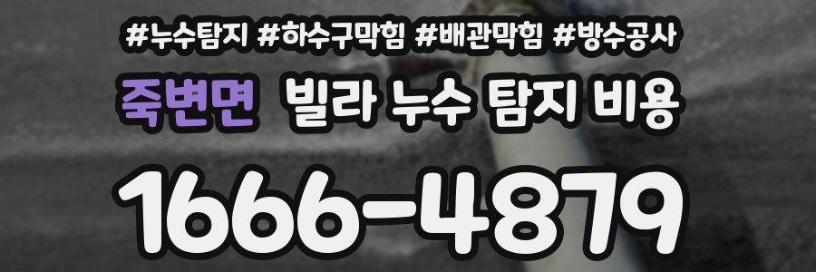 죽변면 빌라 누수 탐지 비용