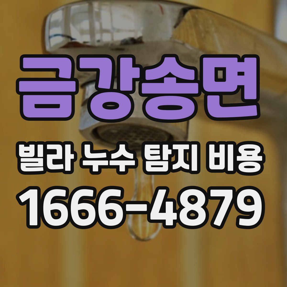 금강송면 빌라 누수 탐지 비용