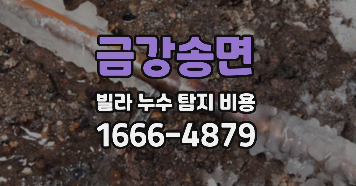 금강송면 빌라 누수 탐지 비용