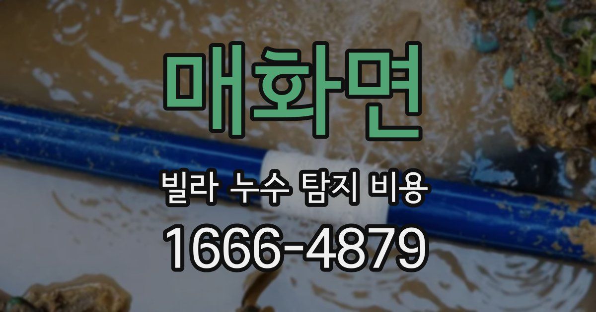 매화면 빌라 누수 탐지 비용