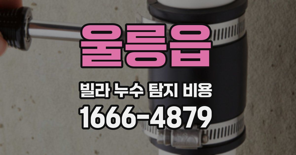 울릉읍 빌라 누수 탐지 비용