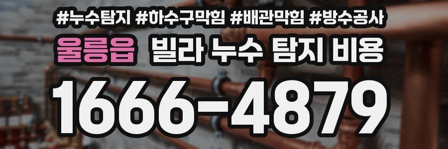울릉읍 빌라 누수 탐지 비용