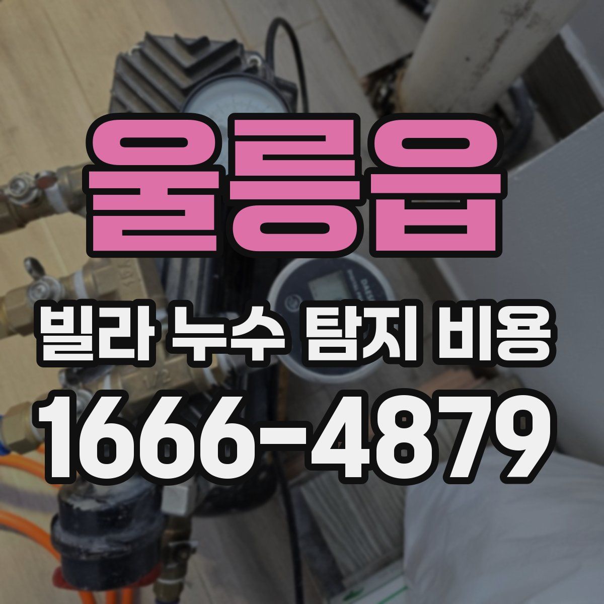 울릉읍 빌라 누수 탐지 비용