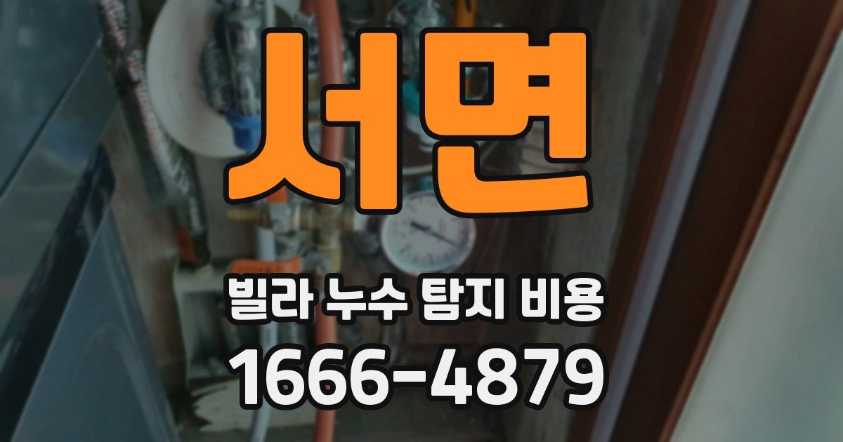 서면 빌라 누수 탐지 비용