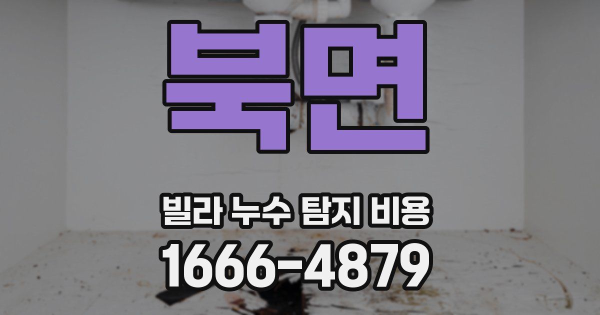 북면 빌라 누수 탐지 비용