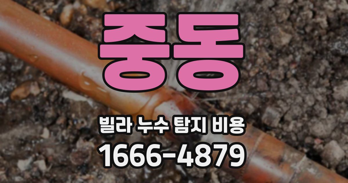중동 빌라 누수 탐지 비용