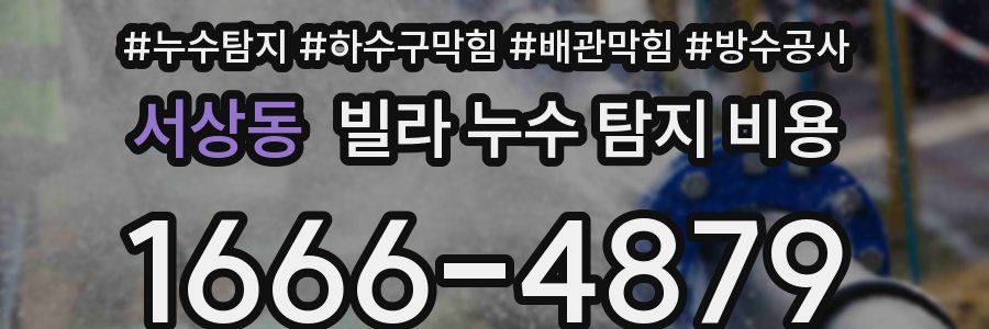 서상동 빌라 누수 탐지 비용