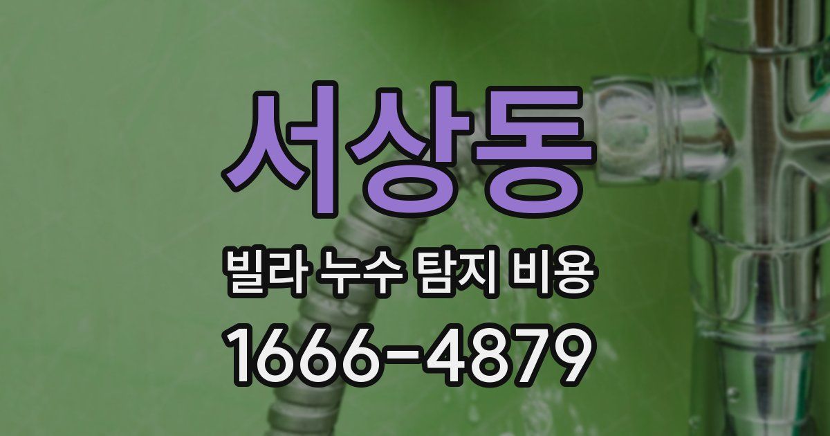 서상동 빌라 누수 탐지 비용