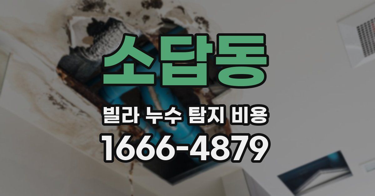 소답동 빌라 누수 탐지 비용