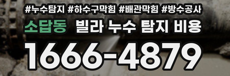 소답동 빌라 누수 탐지 비용