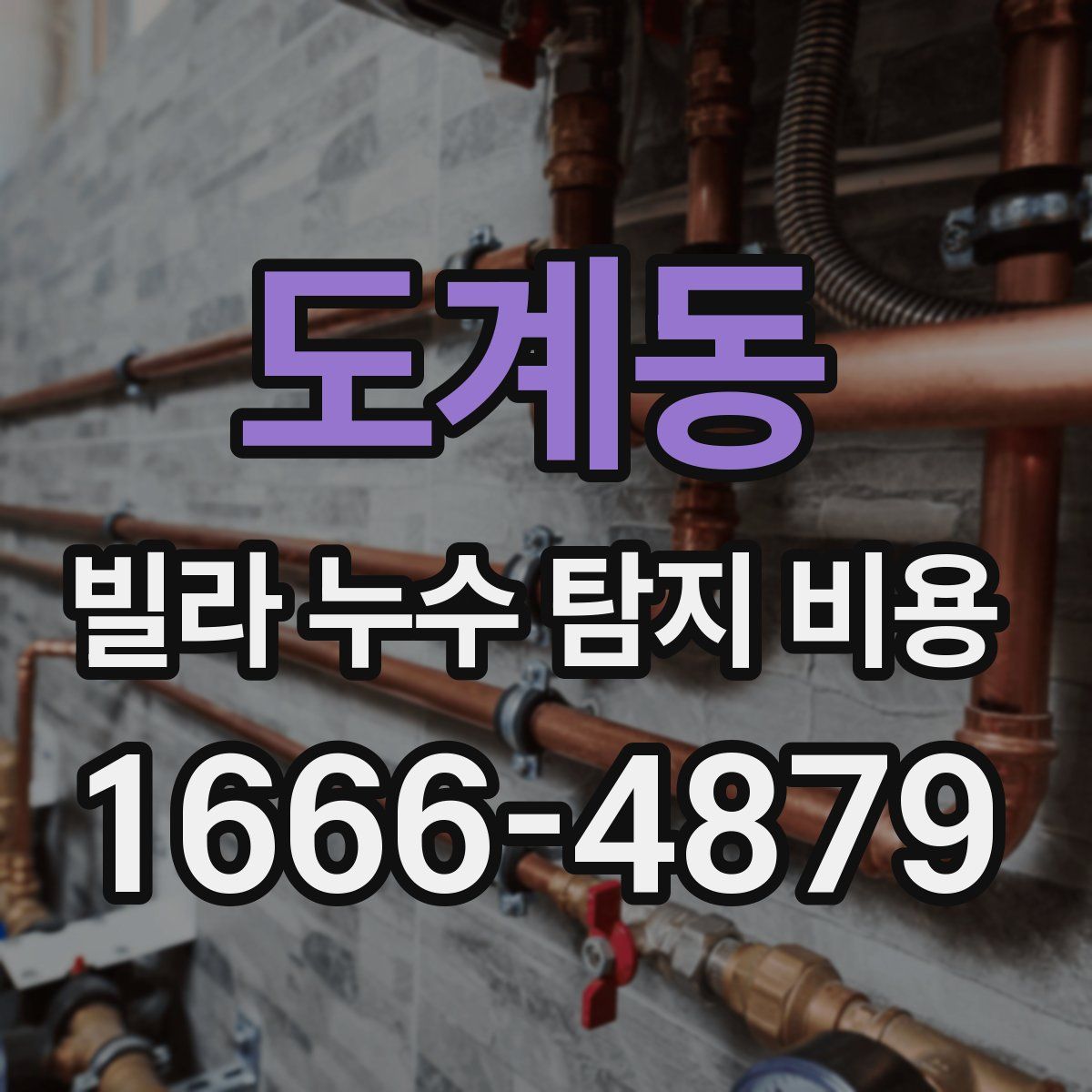 도계동 빌라 누수 탐지 비용