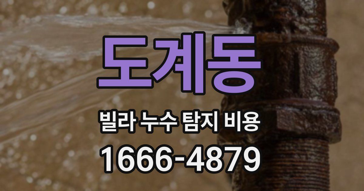 도계동 빌라 누수 탐지 비용