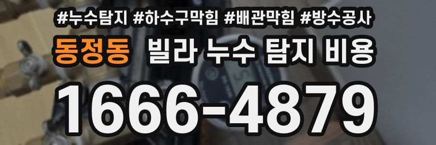 동정동 빌라 누수 탐지 비용