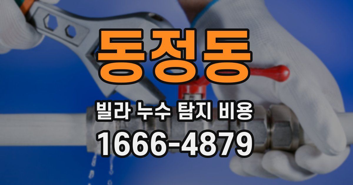 동정동 빌라 누수 탐지 비용