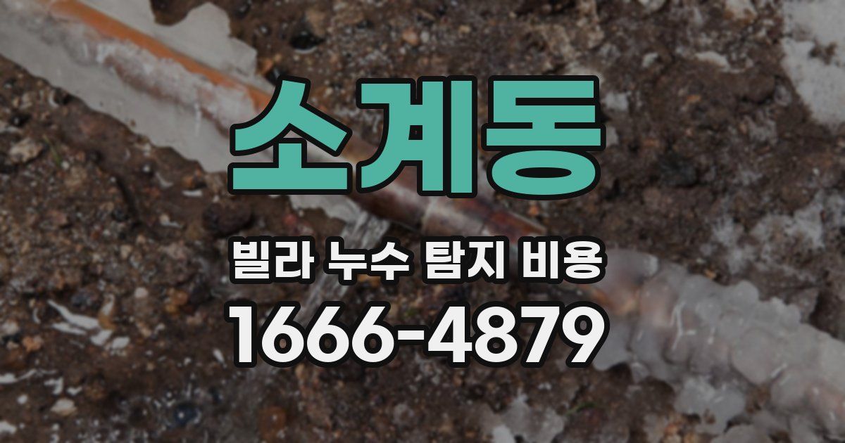 소계동 빌라 누수 탐지 비용