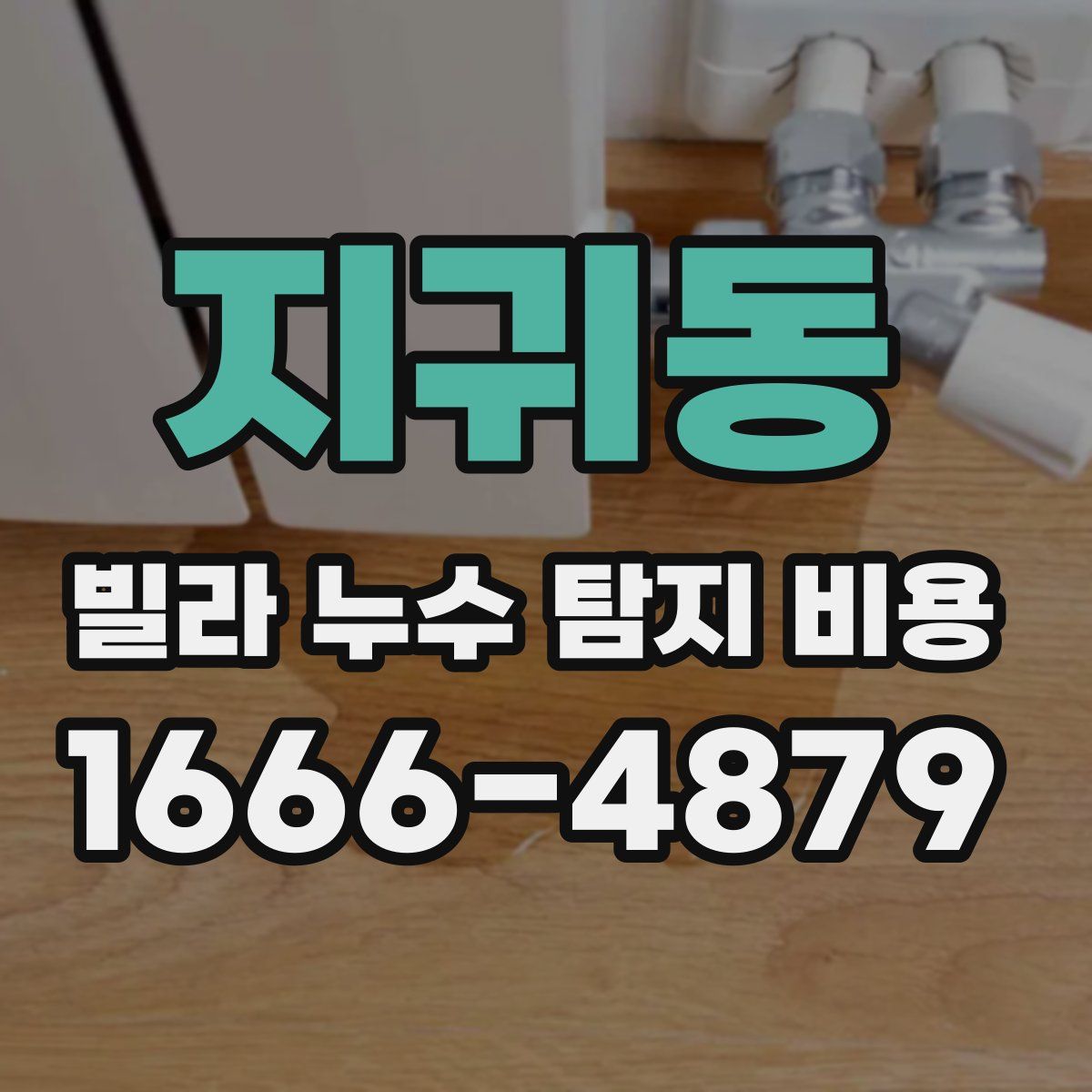 지귀동 빌라 누수 탐지 비용