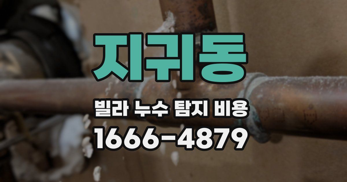 지귀동 빌라 누수 탐지 비용