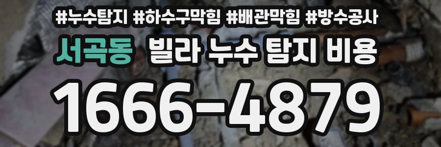 서곡동 빌라 누수 탐지 비용