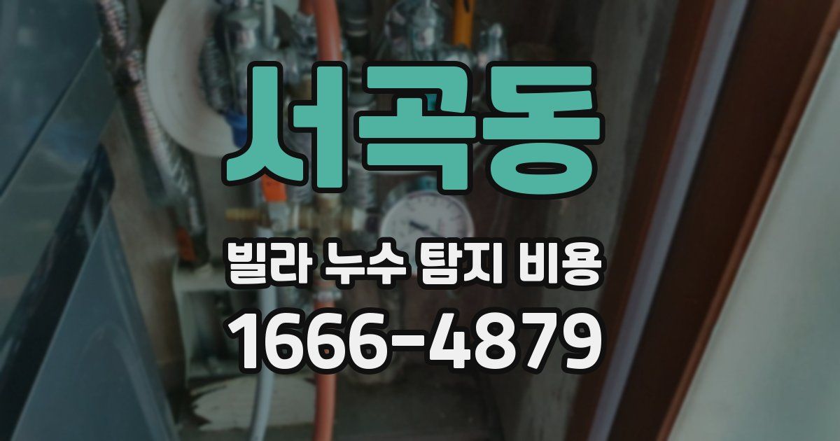 서곡동 빌라 누수 탐지 비용